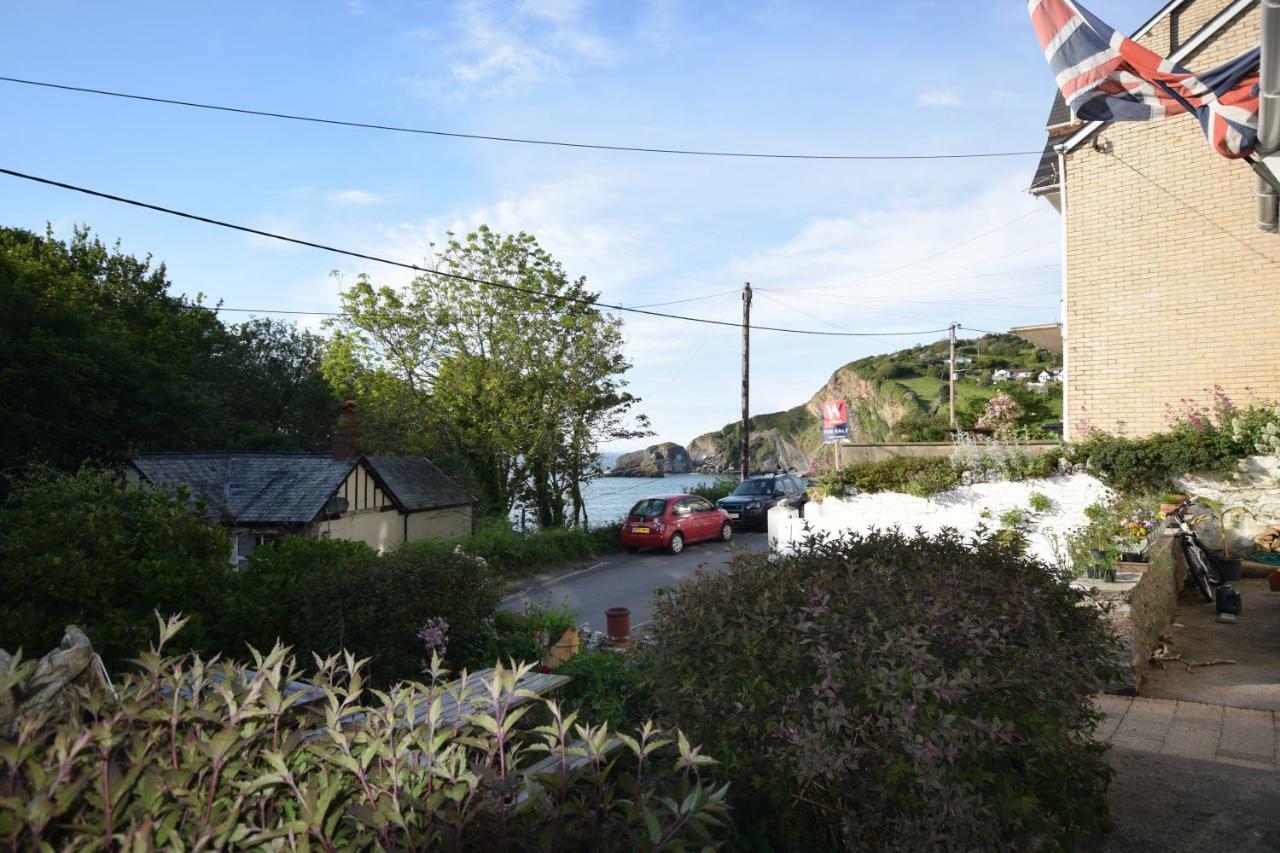 Newberry 4* Combe Martin